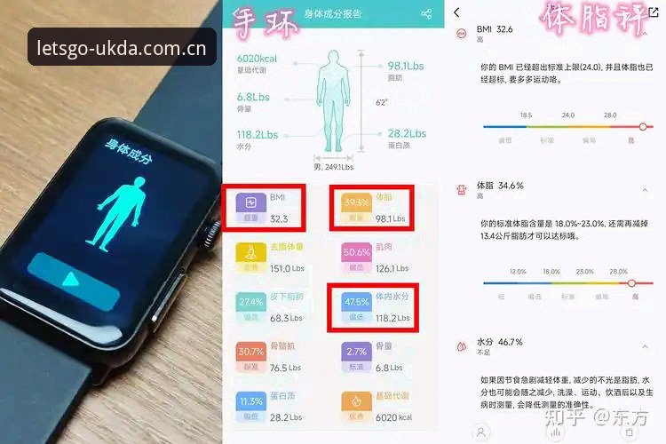 华体会体育安卓版数据实测：从面板到同步的量化体验